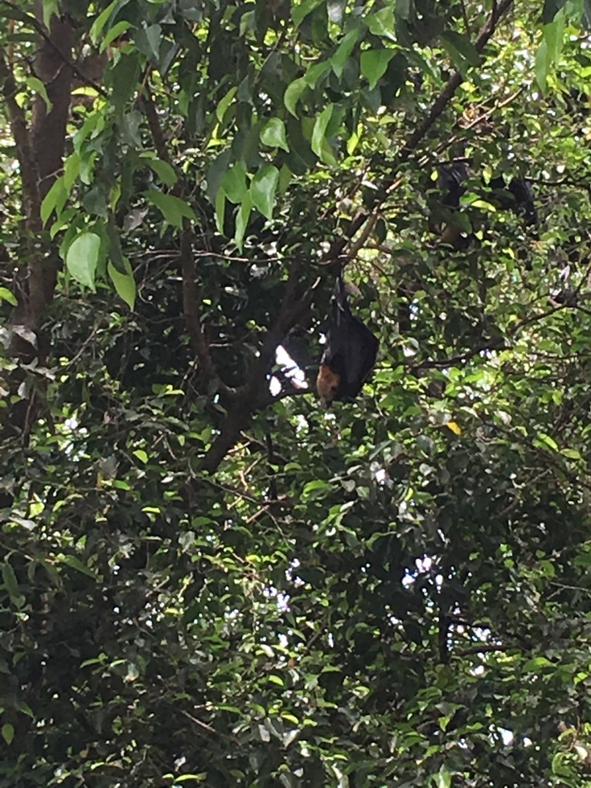 3AADF6C6-6C88-4852-94D4-64AA45DE31C0