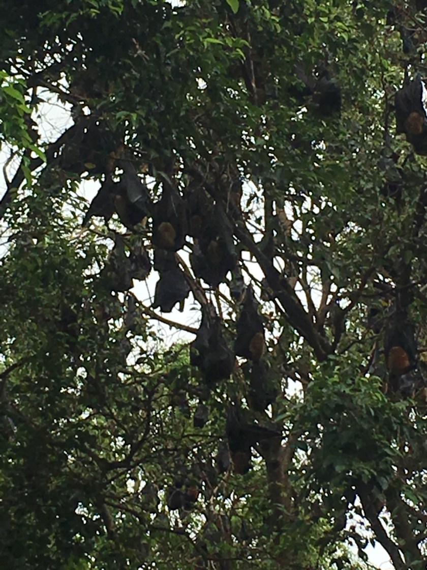 A5ED915E-6DB5-4B0C-856F-1655506D3CA1