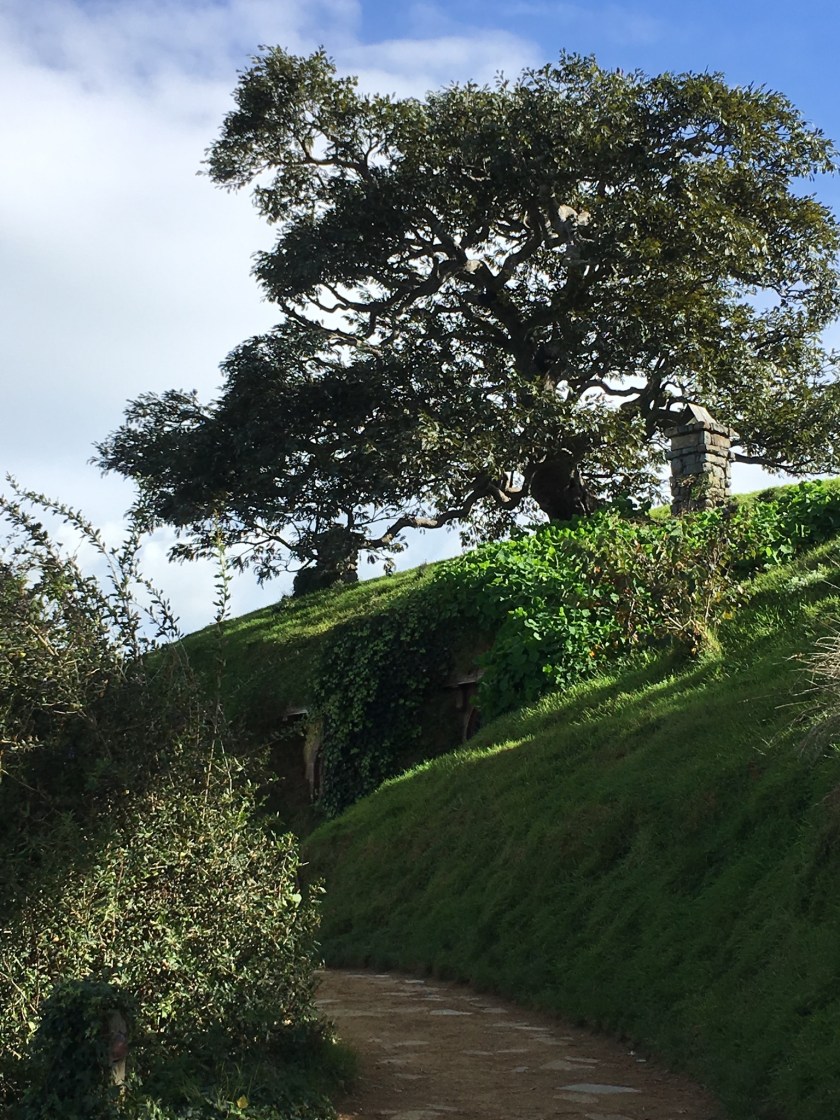 67B3359C-ADC8-4CD2-9B5D-469C22EFC247