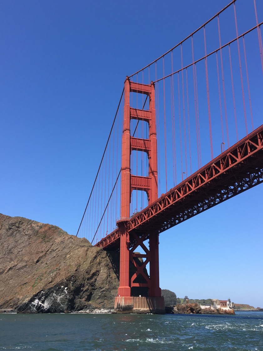 00FC4D3F-663C-484B-8C36-84AEDE7A740B