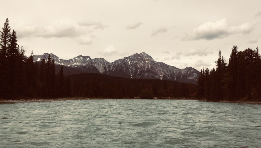 63169470-A587-4D8E-B8B0-86388777216D