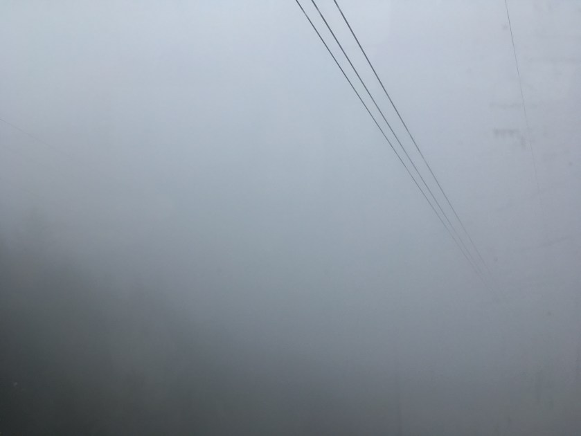 8CE2796A-88BE-41C9-B450-51DDFB5558A1