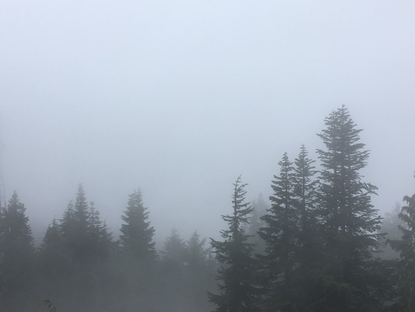 D1CAA654-08C8-4A0B-8A3E-77B954B7C927