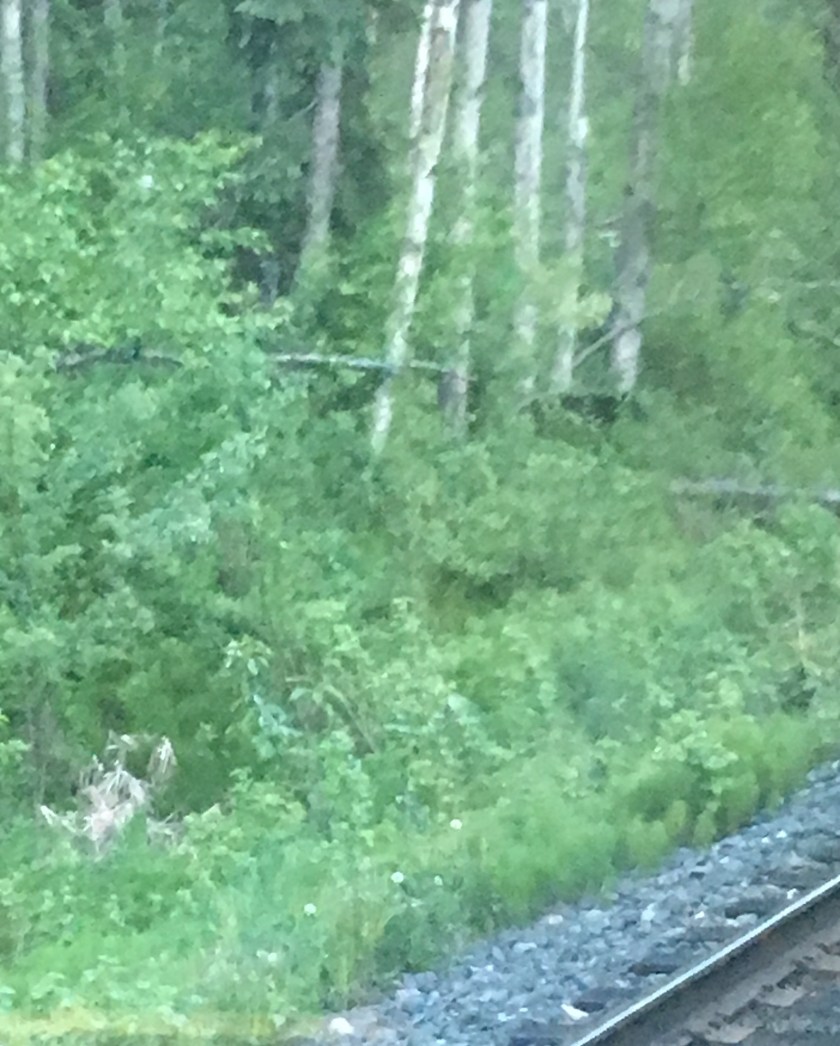 E5C1B466-898F-4E3C-9848-A02F059C1A53