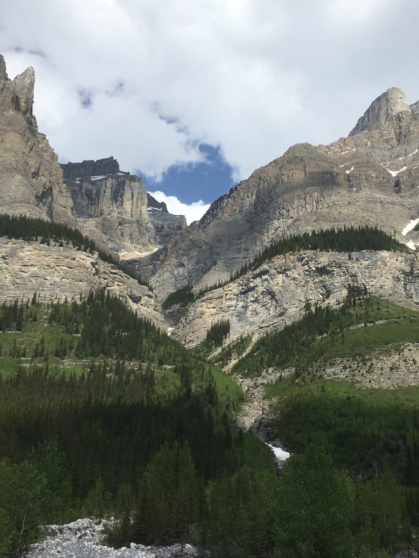 F381E472-00BF-4850-85EC-26CB1B198B99